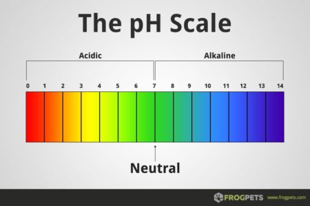 The pH Scale