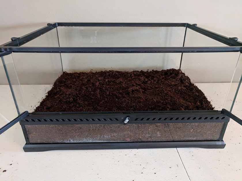 Terrarium with Substrate