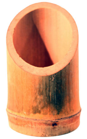 Bamboo